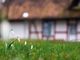 Crea la tua oasi di relax nel giardino: consigli e suggerimenti