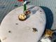 A Moncalieri il Giardino della Luna trasformato in una discarica