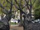 “AurorArt”, l’itinerario d’arte per scoprire 23 opere diverse