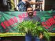 Canapa terapeutica, Grimaldi (LUV): &quot;Da gennaio pazienti senza farmaci bloccati alla dogana. DOCG canapa per garantire cure&quot;