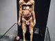 Human Bodies, il corpo umano si rivela agli occhi dei torinesi (e cerca di schivare le polemiche)