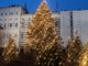 accensione albero natale
