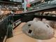 I suoni del MAO invadono il Mercato Centrale Torino con il progetto di Shigeru Ishihara