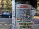 Abbattimento alberi corso Belgio, il M5S: &quot;Progetto di Lo Russo. Non scarichi il barile su Appendino&quot;