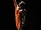Roberto Bolle &amp; Friends al Gala di fine anno del Teatro Regio