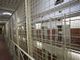 Carcere delle Vallette, detenuto appicca incendio nella propria cella: quattro agenti intossicati
