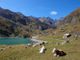 Da inizio luglio a settembre, traffico limitato sulla strada da Margone al lago di Malciaussia