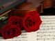 Classica a Pino: torna la rassegna musicale dell'associazione Mozart Torino