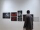 Dal World Press Photo a Naturecultures: le mostre e gli eventi da non perdere questo fine settimana