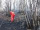 incendi boschivi - foto d'archivio