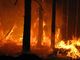 Domenica 3 dicembre Valsusa Stop Fire Festival al centro polivalente di Novalesa