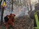 Vigili del fuoco