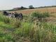 incidente tangenziale sud