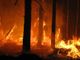 Revocato lo stato di massima pericolosità incendi boschivi