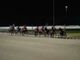 ippodromo di vinovo notte