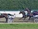 All'ippodromo di Vinovo un weekend di trotto aspettando il GP Orsi e Mangelli