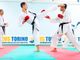 karate - foto d'archivio