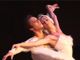 Danza, il &quot;Lago dei cigni&quot; in scena a Torino
