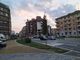 Una piazza, marciapiedi e alberi: un inizio autunno di lavori per la Circoscrizione 7 di Torino