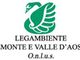 Big Jump, domenica torna il tuffo-denuncia nei fiumi piemontesi voluto da Legambiente