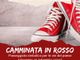 locandina iniziativa caselette