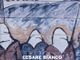 San Mauro, domani la presentazione del libro &quot;Lo sguardo delle madri di plaza de Mayo&quot; di Cesare Bianco