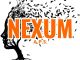 Nexum, logo ufficiale dell'A.P.S. e progetto grafico di Appino Martina