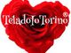 "TeladoIoTorino" non è solo la pagina di un social network ma è molto di più "TeladoIoTorino" non è solo la pagina di un social network ma è molto di più