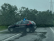 albero caduto con auto carabinieri davanti