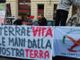 Insetti, UE e scie chimiche: la manifestazione dei sovranisti alimentari a Torino