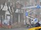protesta contro il taglio degli alberi in corso Belgio