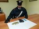 Ivrea, nascondeva 20 grammi di marijuana nello zaino: denunciato