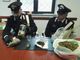 Scoperto a Rueglio un laboratorio domestico per la coltivazione della marijuana