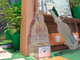 Mentorino, la risposta torinese al Limoncello