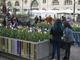 Messer Tulipano torna in Piazza Emanuele Filiberto