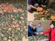 foto progetto nichelino