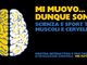 Mostra Experimenta a Giaveno
