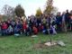 "Mille alberi per Torino": più di 70 persone per fare più verde il Parco Dora "Mille alberi per Torino": più di 70 persone per fare più verde il Parco Dora