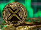 XRP crolla sotto i 0,50 dollari e gli investitori si fiondano su PlayDoge