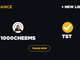 Quali sono le migliori meme coin da acquistare su Binance Smart Chain oggi. Test e Cheems?