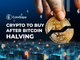 Le 4 migliori criptovalute da comprare dopo l’halving di Bitcoin