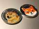 Shiba Inu, Dogecoin e Pepe registrano aumenti di prezzo mentre il token Sponge cresce seguendo la stessa tendenza