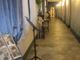 Fino al 15 aprile a Romano Canavese la mostra &quot;Pesce d'aprile&quot;