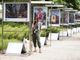 La street art trova casa ai Musei Reali: in mostra il work in progress per l'Agenda 2030 [FOTO]