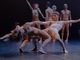 La Compagnia EgriBiancoDanza cerca ballerini professionisti: l'audizione domenica 20 marzo