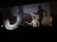 Al Museo del Cinema torna il progetto &quot;onLive&quot; con il film &quot;Hydrocosmos&quot;