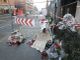 fiori via genova