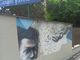 Il murales realizzato nel 2016 danneggiato (per errore) durante i lavori di ristrutturazione