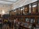 Senatore chiede la chiusura del Museo Lombroso: &quot;Razzismo scientifico&quot;