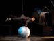 Il circo contemporaneo di Nice Festival approda al Palaexpo di Moncalieri